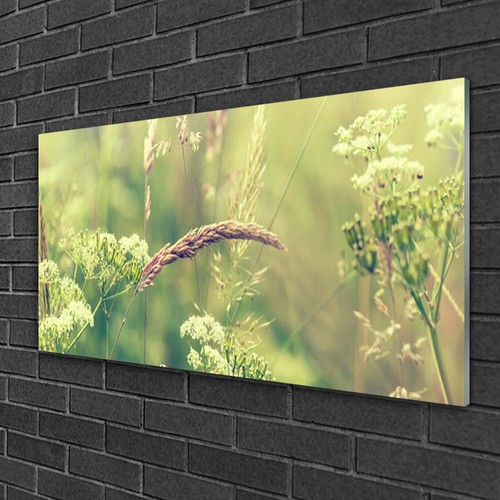 Tulup image sur verre - sur,