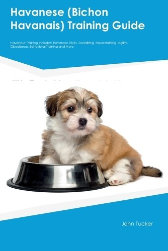 John tucker havanese bichon - tucker, (bichon