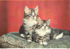 Carte Postale - Animaux -