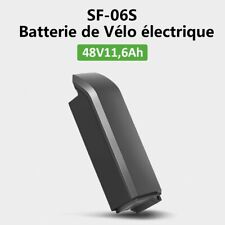Phylion ebike Batterie de