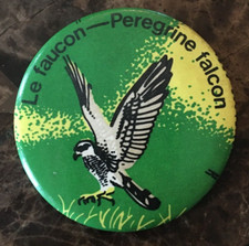 *Vintage 2'' Pinback Button - Le Faucon Pelerin - Peregrine Falcon