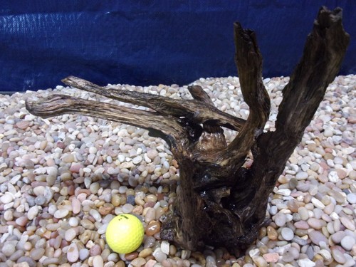 Medium driftwood x11 - driftwood, 12"x11"x07"