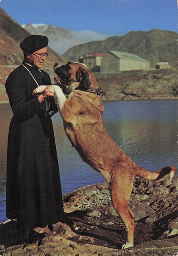 Suisse grand saint bernard col - saint,