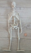 💀 Petit squelette articulé – modèle anatomique décoratif