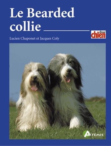 Bearded collie chaponet - le,