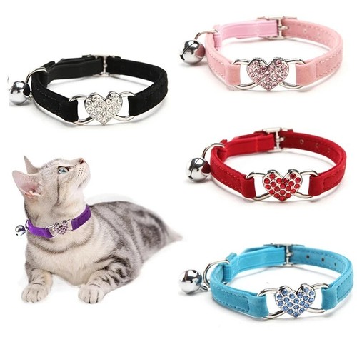 Collier chat chien orne - chat,