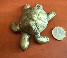 TORTUE EN LAITON/ CARAPACE