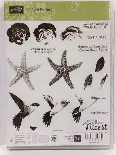 Stampin image parfait - up,