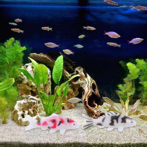 Pcs poissons koi - pcs,