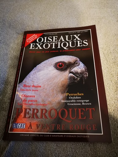 Oiseaux exotiques 257 - exotiques, n°257