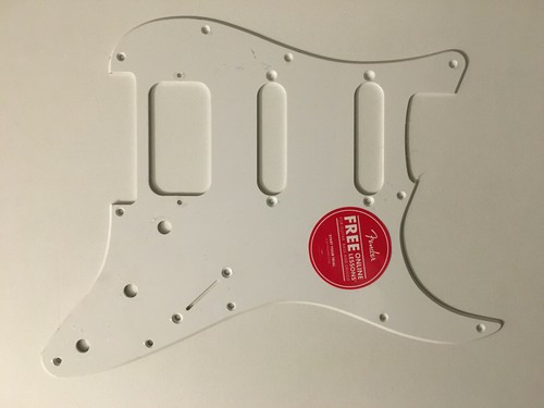 Pickguard from squier - pickguard,