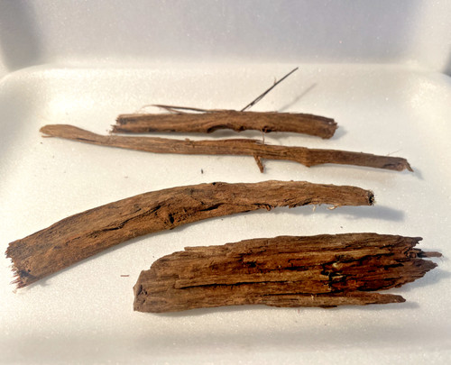 Racines araignée 20cm - 3,