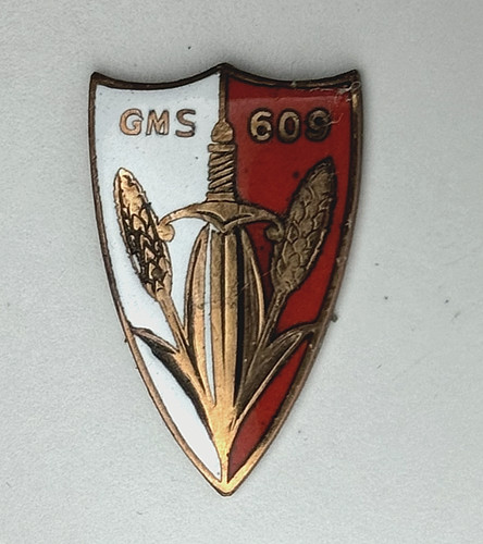Insigne miniature gms 609 - insigne,