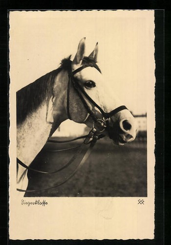 Classe gagnante moisissure - gagnante,,
