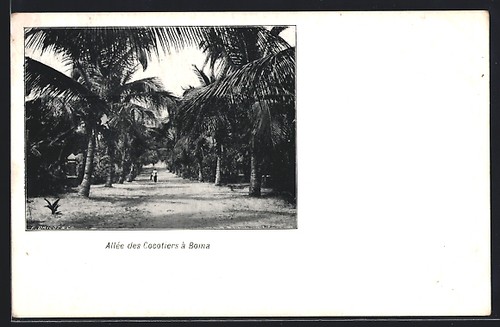 Cpa boma allée des - cpa,