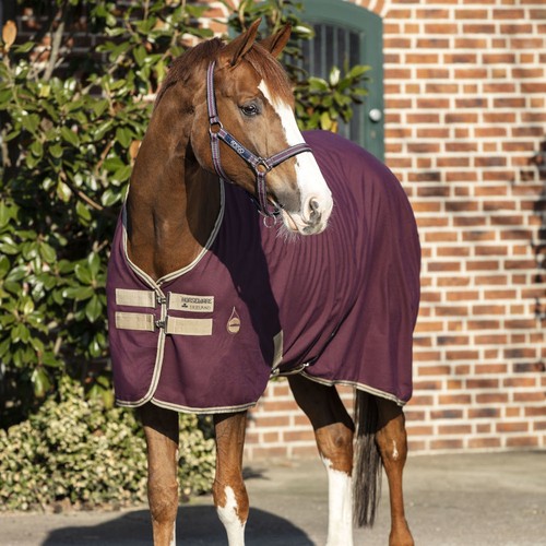 Horseware amigo stable - , sheet