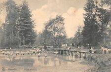 MARNEFFE - pond fishing