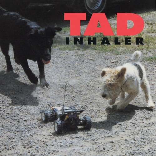 Tad inhaler album - 12",