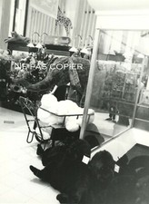 NEW YORK 1990 Elephant Toy Store 17 x 12cm