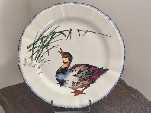 Tres belle assiette - belle, plate