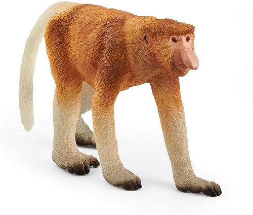Schleich nasique de - -,