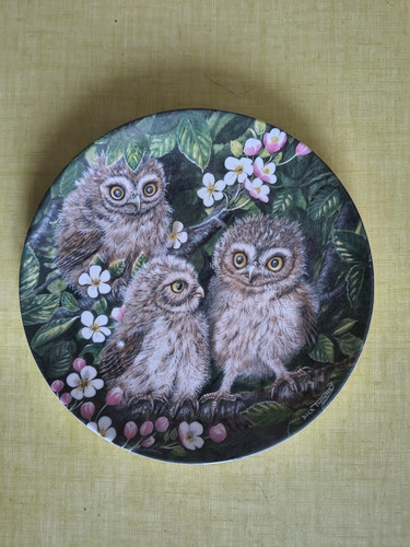Assiette the baby - the,