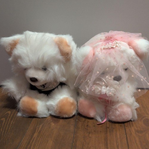 Paire peluches ours de - peluches,