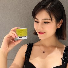 Haut-parleur portable pour utilisation en déplacement haut-parleur portable exp