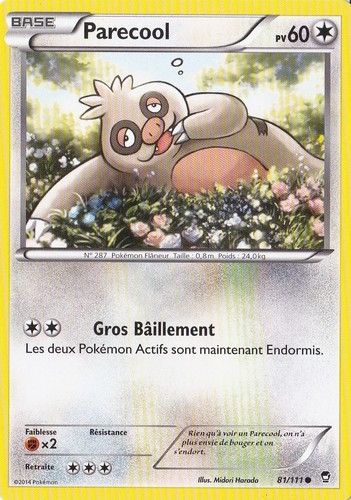 Parecool xy3 poings furieux - -,