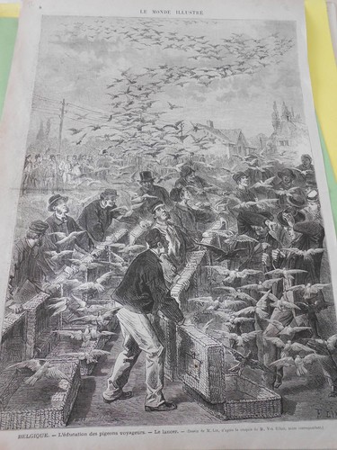 Gravure 1872 belgique - 1872,