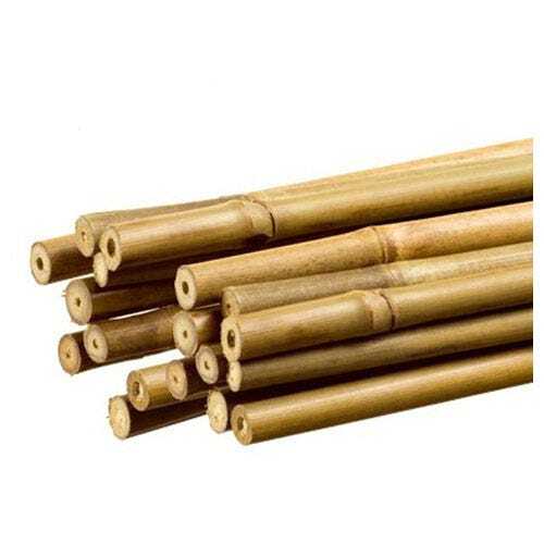20x tuteurs tiges de bambou - 20x,