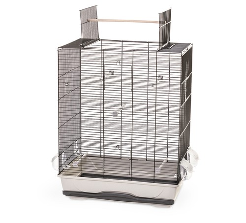 Cage oiseaux pour - cage,
