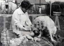 Photo De Presse Vintage