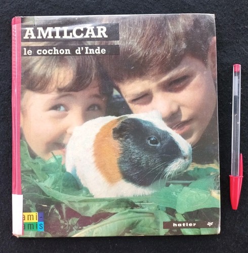 Ami amis hatler - amis, amilcar