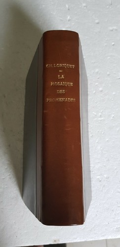 Loriquet la - loriquet,, ‎