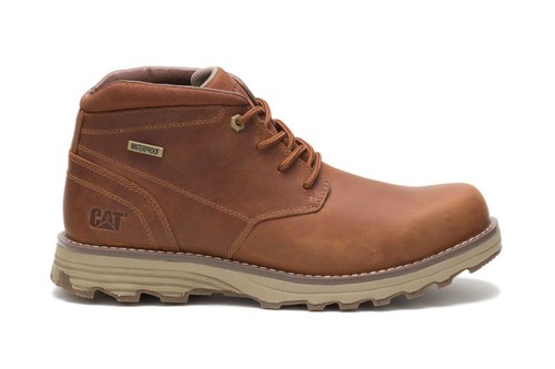 Chat caterpillar homme elude - chat,
