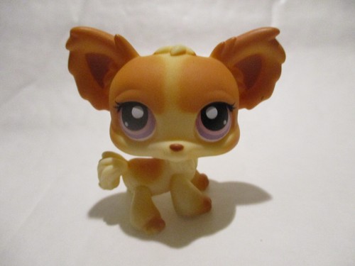 Petshop chien papillon - petshop,