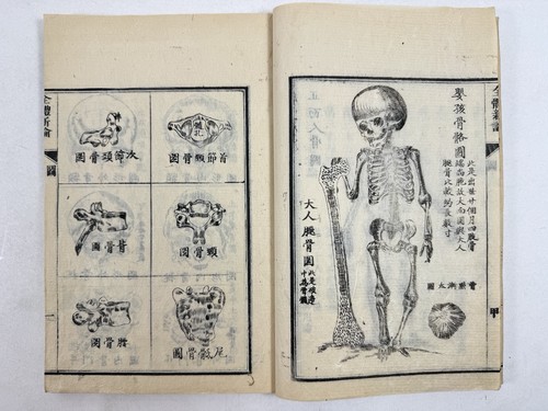Livre rare japonais