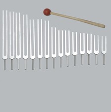 15 Humain Corps Organes