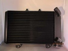Voxan Roadster 1999-2004 Radiator (Radiator) 201046376