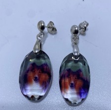 Border Collie Lassie Crystal Earrings Sterling Silver Bale & Stud