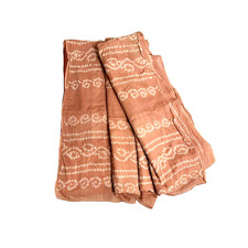 Indian Party Wear Sari