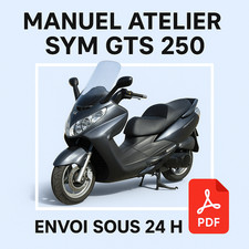 Manuel Atelier Sym GTS 250