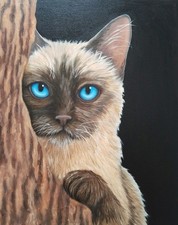 Peinture, chat, huile sur