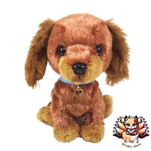 Nouveaux chiots sun lemon - sun,