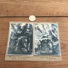 antique photograph africa N177 banana tree 