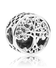 PANDORA Bijoux Argent Charm