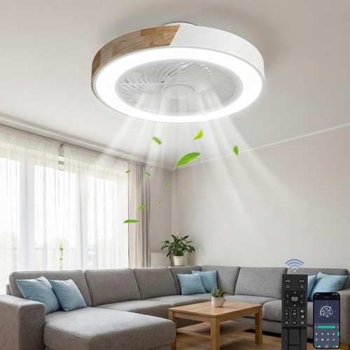 Ventilateur plafond avec - de,