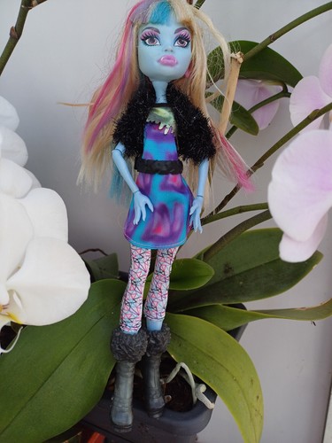 Poupee monster hight - poupee,