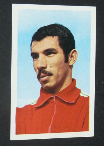 165 benkhief boujemaa maroc - #165,